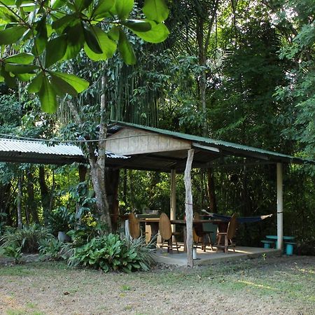 Casa A 26 Kilometros De Jaco Rodeado De Naturaleza 빌라 외부 사진