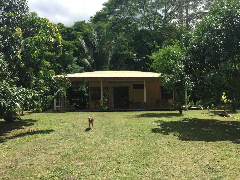 Casa A 26 Kilometros De Jaco Rodeado De Naturaleza 빌라 외부 사진