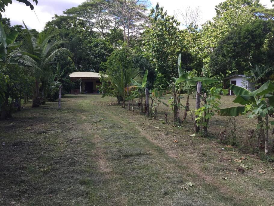 Casa A 26 Kilometros De Jaco Rodeado De Naturaleza 빌라 외부 사진