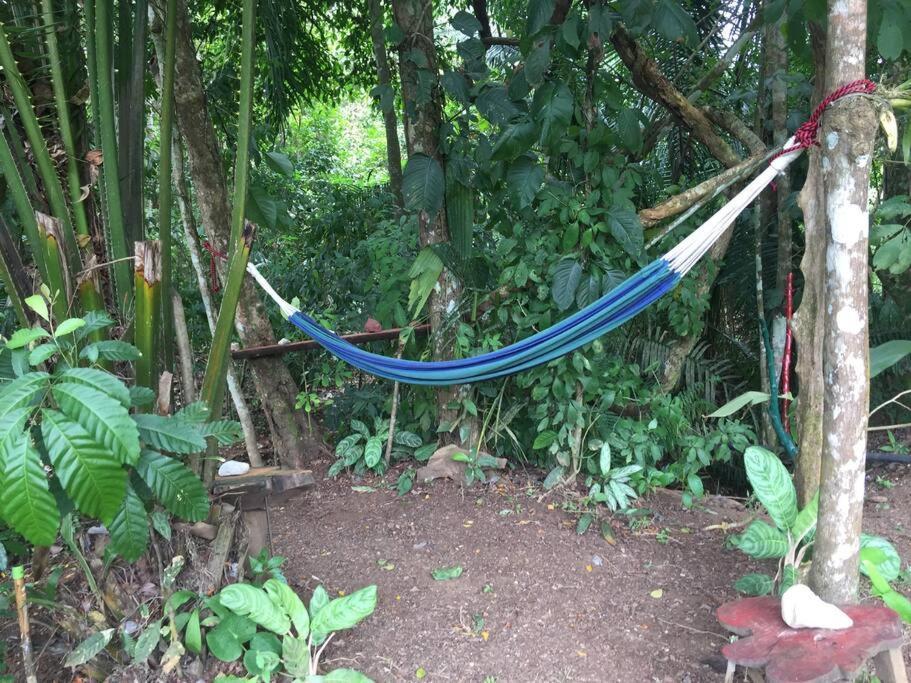 Casa A 26 Kilometros De Jaco Rodeado De Naturaleza 빌라 외부 사진