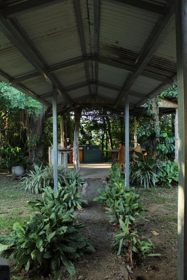 Casa A 26 Kilometros De Jaco Rodeado De Naturaleza 빌라 외부 사진